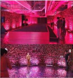 AIA Insurance Grand Launching 2020